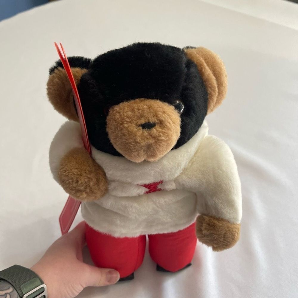 Eden Toys Plush VTG Snowboard Bear RARE